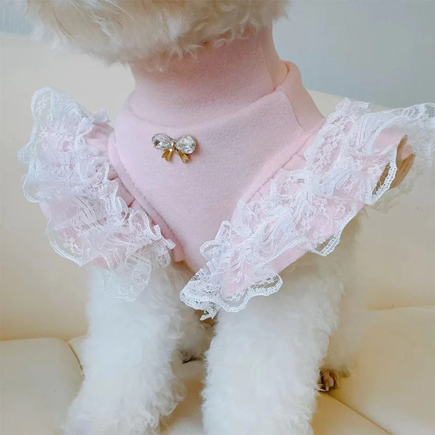 Lace Teddy Lingerie - Pet Clothing Autumn and Winter Base